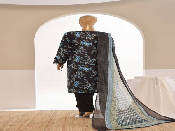 BIN SAEED EXCLUSIVE EMBROIDERY COLLECTION Vol 11 003 - Image 3